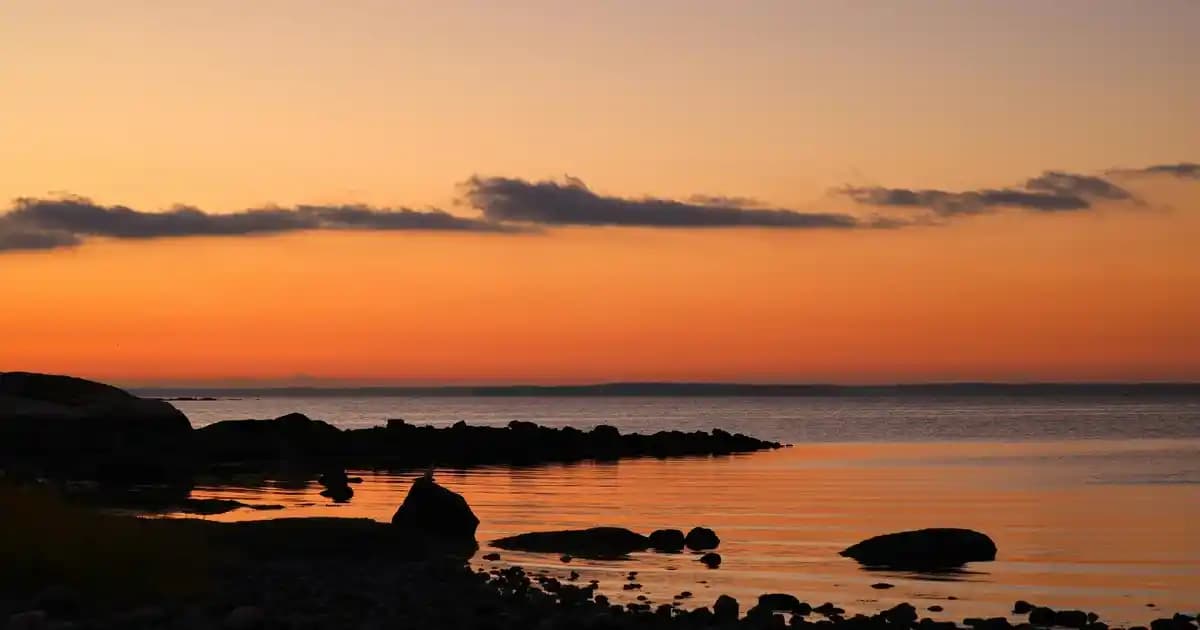 Metal Kaplama Banyo Kapı Altı Aksesuarları: Dayanıklı ve Estetik Çözümler