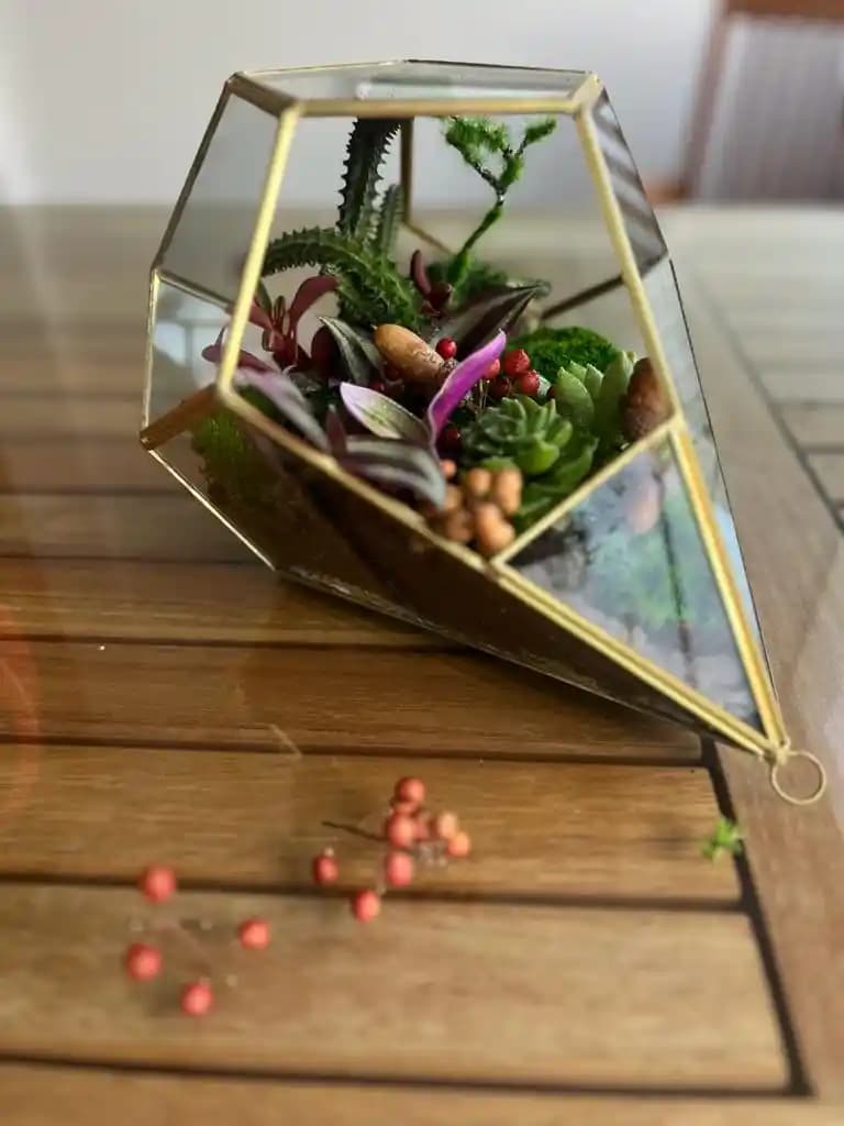 Modern Dekorasyonda Doğal Teraryumların Yeri ve Önemi: Estetik ve Sürdürülebilir Çözümler