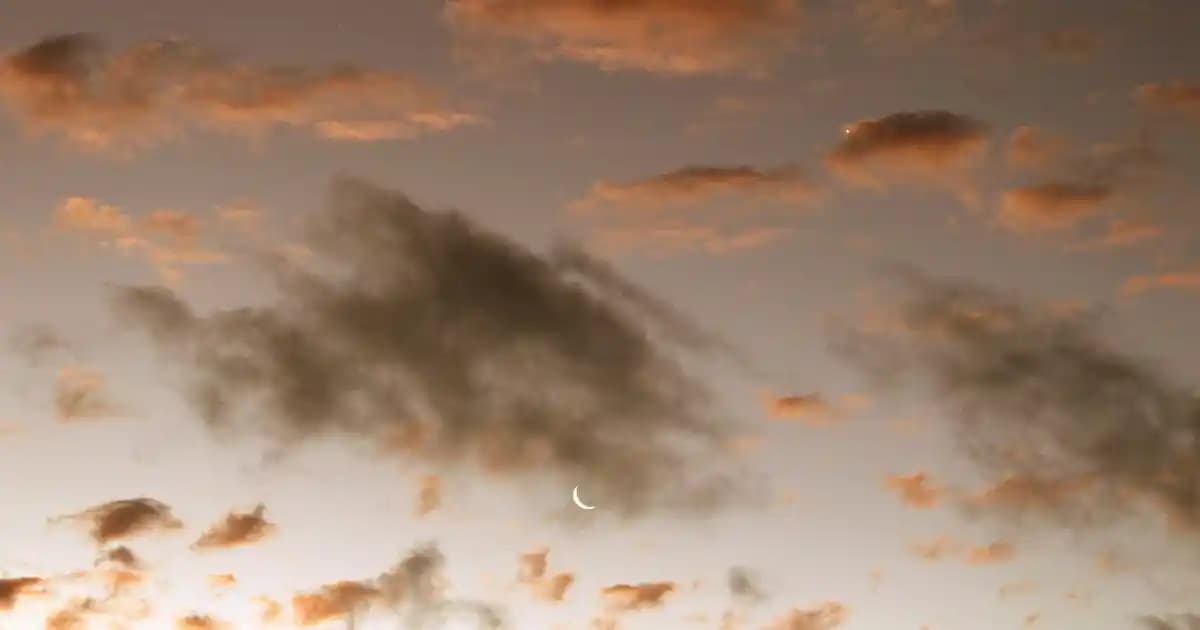 Modern ev dizaynında estetik ve fonksiyonelliği bir arada sunan koltuk modelleri