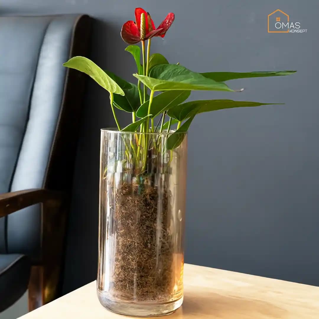 Modern İç Mekan Dekorasyonunda Cam Saksı Kullanımının Avantajları ve Modelleri