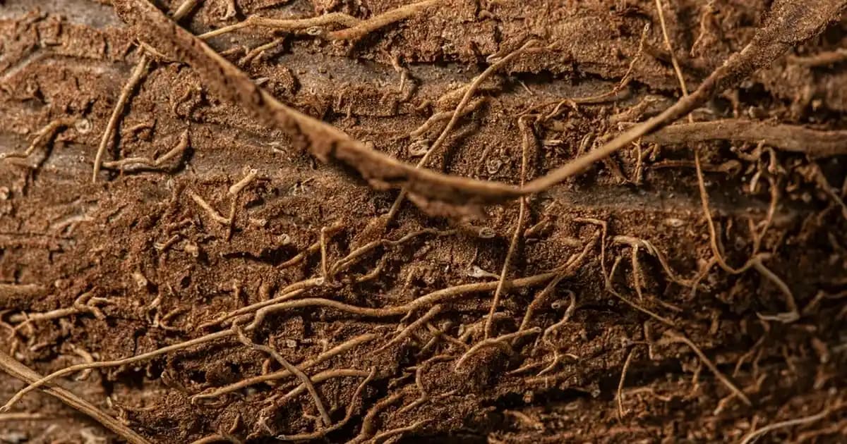 Modern Tasarımlı Bulaşıklıklar İşlevsellik ve Estetik Unsurlarıyla Öne Çıkıyor