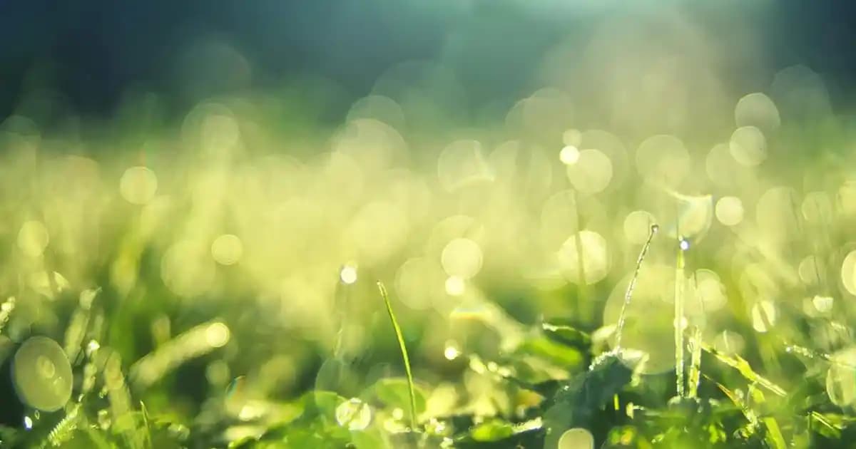 Modern ve Şık Konut Tasarımları Güncel Trendler ve Özellikler