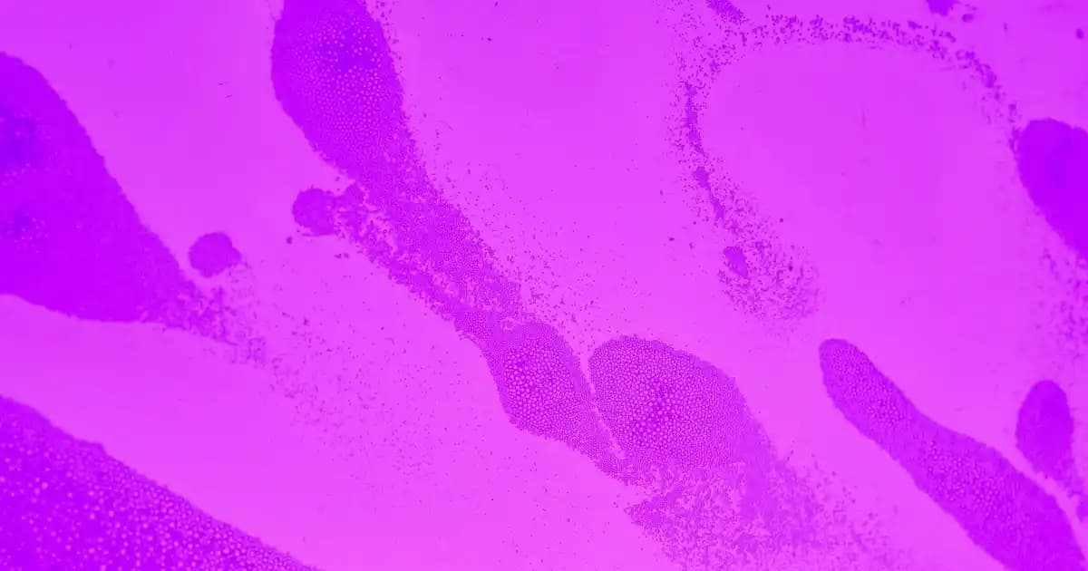 Musluk Başlığı 1080 Derece Dönebilme Özelliği ile Uzun Ömürlü ve Pratik Kullanım