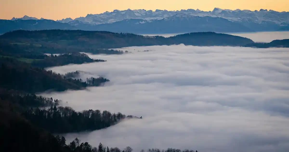 Mutfakta Düzen ve Erişilebilirlik İçin İkili Baharatlık Çözümleri