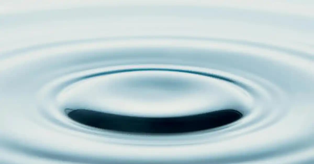 Okyanus Home Yapı ve Donanım Sektöründe Güncel Yaklaşımlar ve Teknolojik Yenilikler