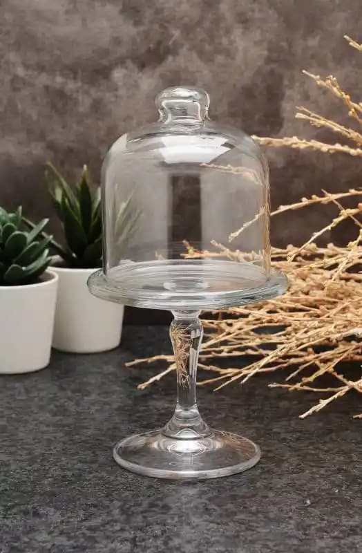 Paşabahçe Fanusları: Estetik ve Fonksiyonelliğin Birlikte Sunulduğu Cam Fanus Seçenekleri