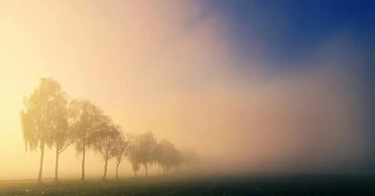 Rico R-032 Şarjlı Budama Makası: Kablosuz ve Dayanıklı Bahçe Bakım Aracı