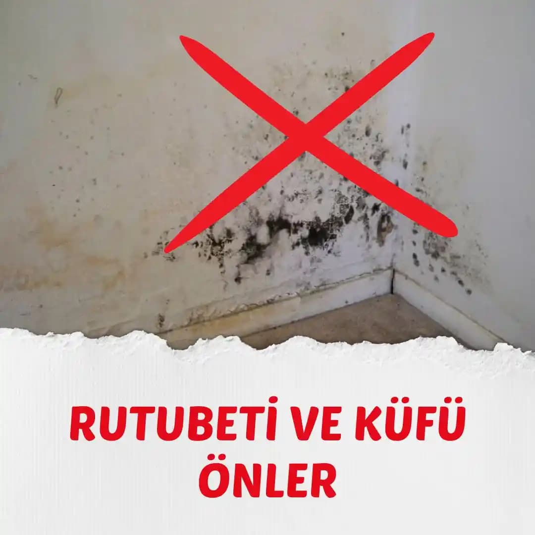 Rutubet Zararlarını Önleyen Ev Ürünleri ve Uygulamalar Hakkında Kapsamlı Rehber