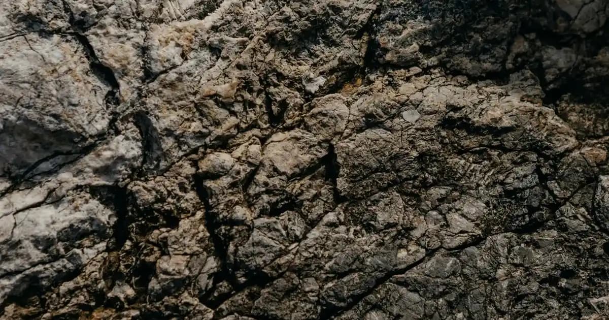 Seramik Pilav Tencereleri: Sağlıklı ve Pratik Mutfak Ürünleri Rehberi