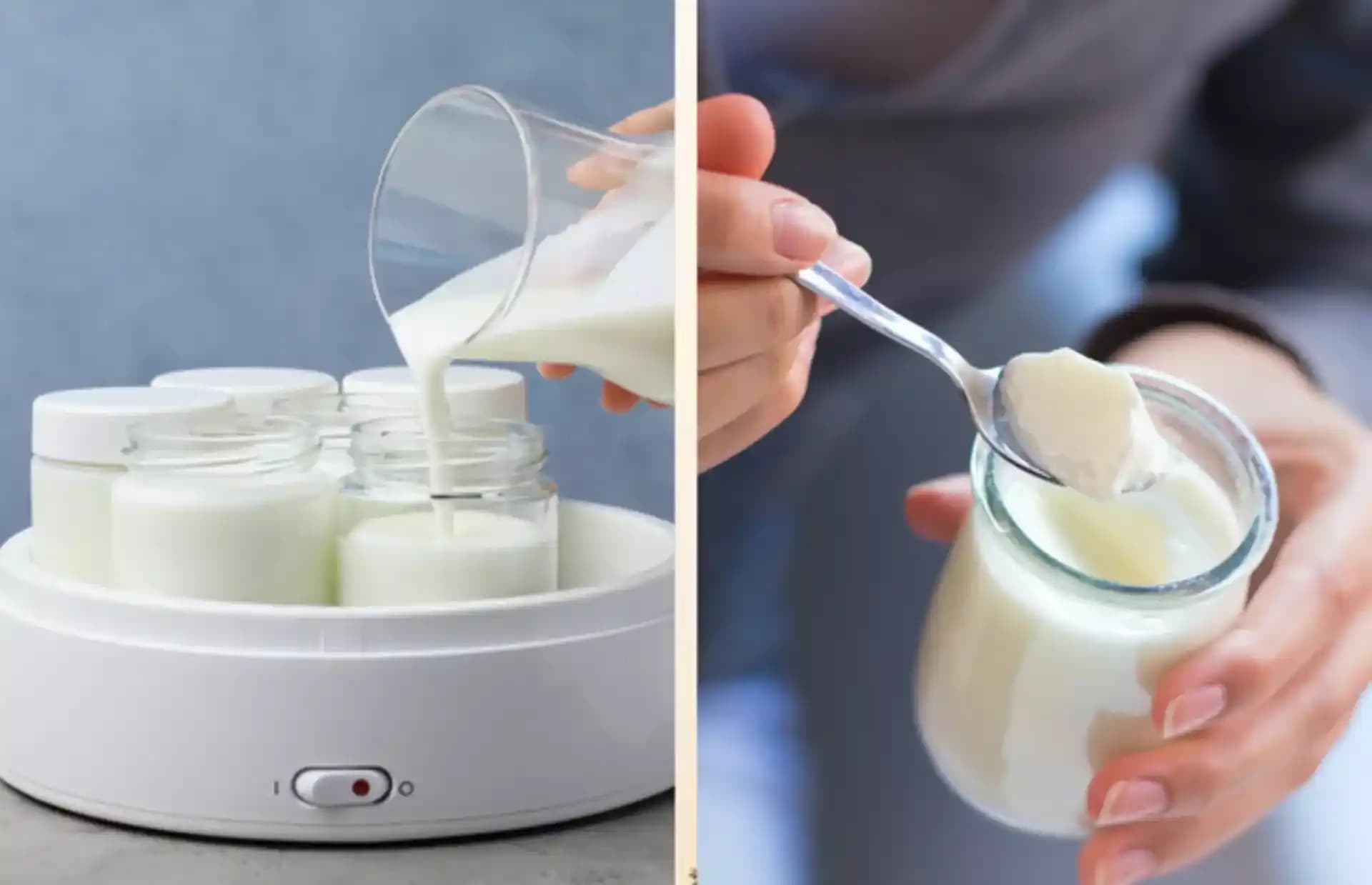 Şık ve Kullanışlı Yoğurt Mayalama Araçları ile Mutfakta Estetik ve Pratik Çözümler