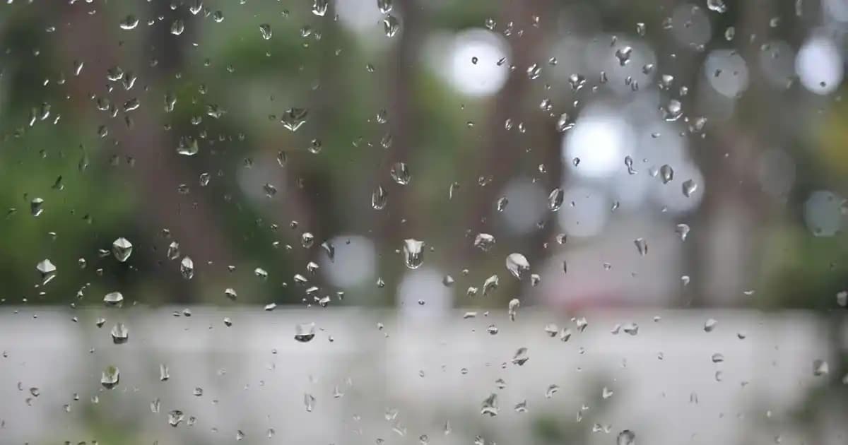 Siyah Modern Tablo Dekorasyon Seçenekleri ve Kullanım İpuçları