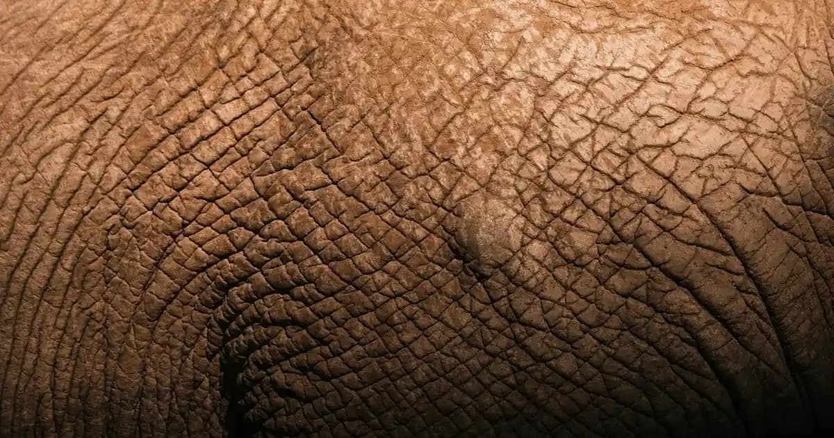 Slim Duvar Saatleri Modern Tasarım ve Estetik Unsurlarla Mekanlara Şıklık Katar