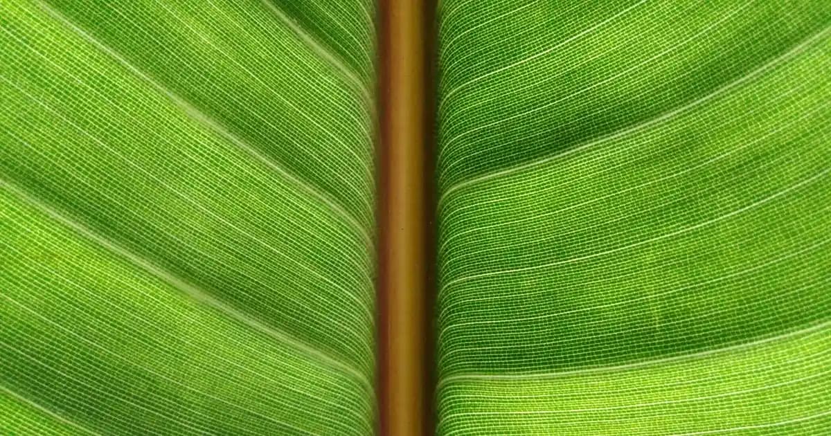 Sünger Minderler: Konfor ve Dayanıklılığı Bir Arada Sunan Kaliteli Çözümler