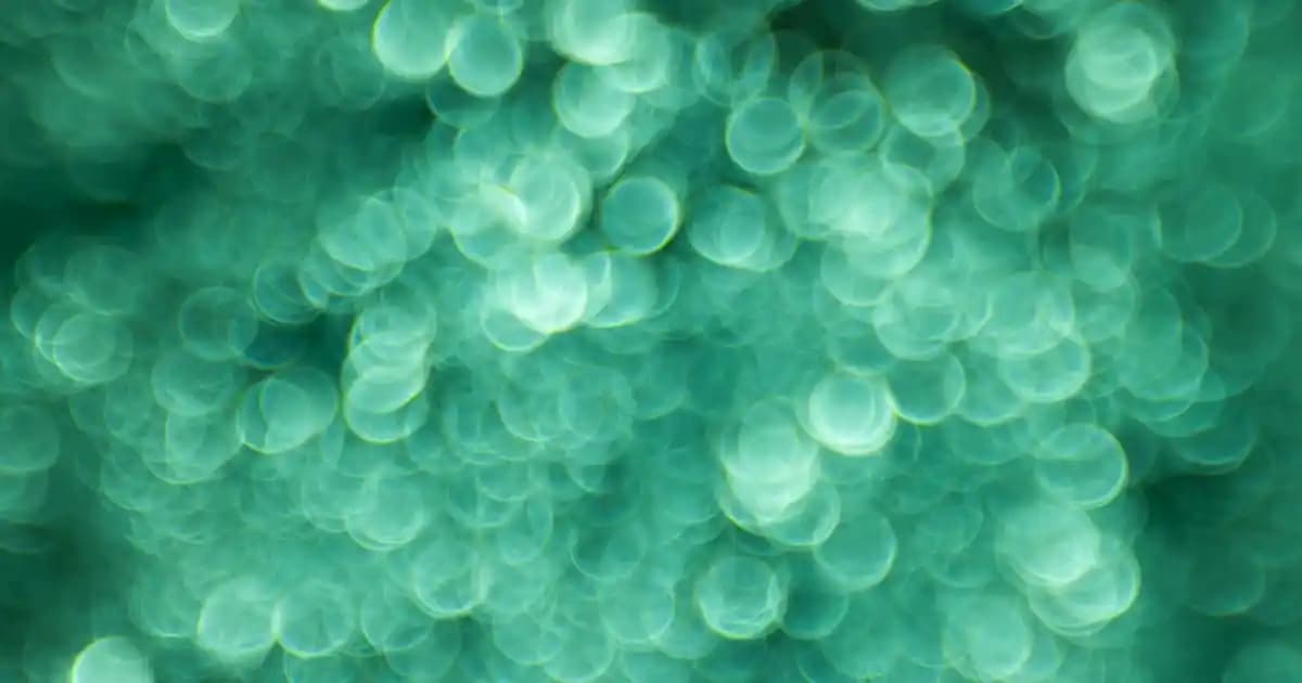 Tek Kişilik Cibinlikler: Konfor ve Estetiği Bir Arada Sunan Pratik Çözüm