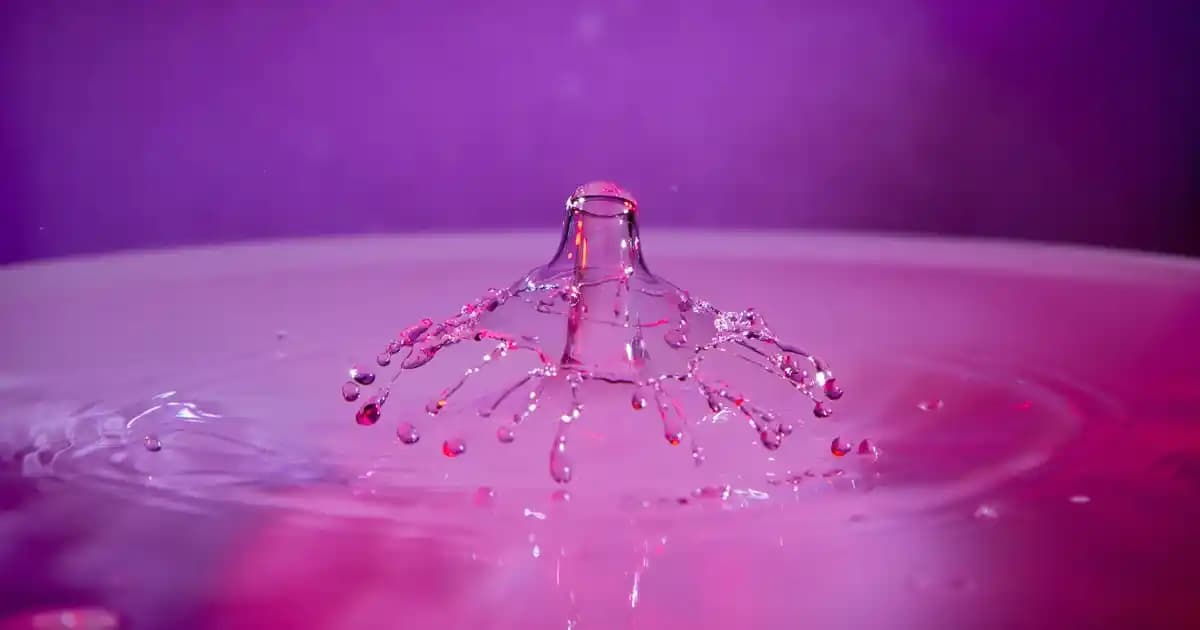 Telli Bez ve Ölçü Birimleri: Santimetre ve Feet Arasında Doğru Dönüşüm Rehberi