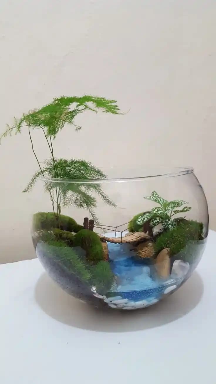 Teraryumlarda Doğal Malzeme Seçenekleri ve Sürdürülebilir Kullanım İpuçları