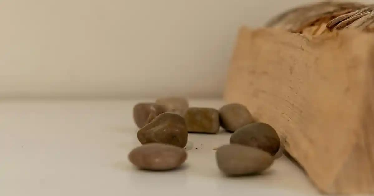 Winx Temalı Çocuk Odası Yatak Örtüleri Güvenli ve Estetik Tasarımlarla Dekorasyonunuza Renk Katın