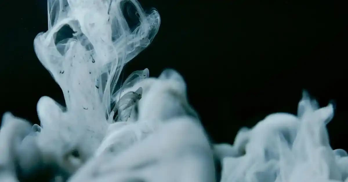 WMF Fırın Tepsileri ve Dekoratif Mutfak Aksesuarları: Şıklık ve Fonksiyonellik Bir Arada