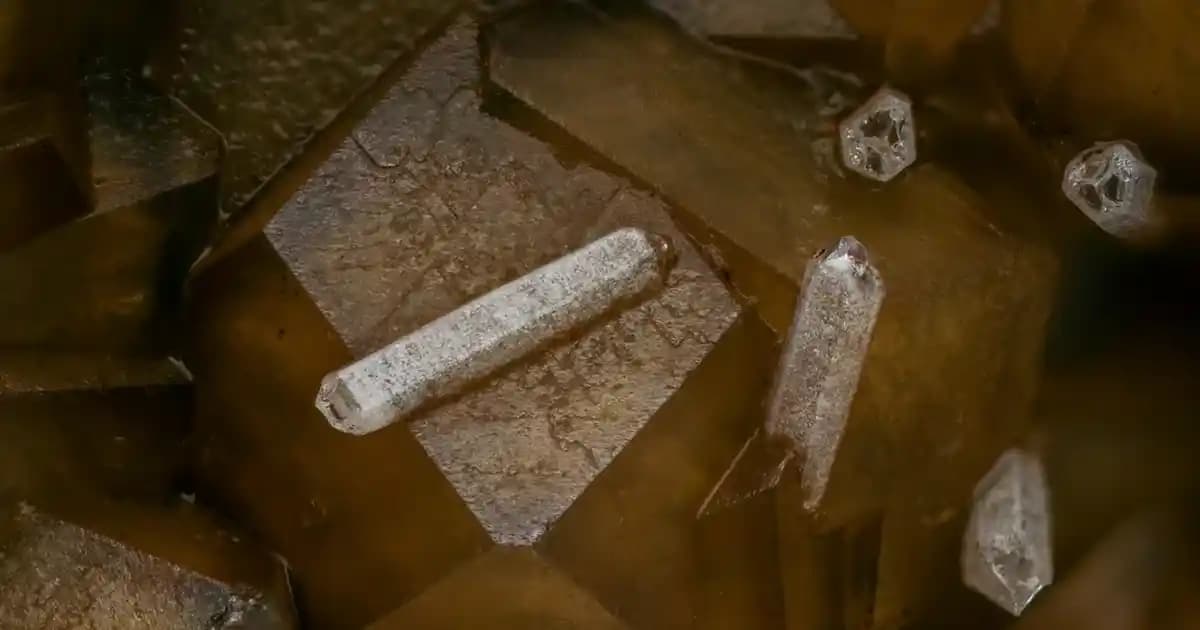 Yapışkanlı Düzenleyiciler ve Evde Kullanım İpuçlarıyla Pratik Organizasyon