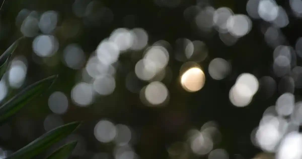 Yatak Odası Dekorasyonunda Peluş Halı Seçenekleri ve Fikirleri 2023