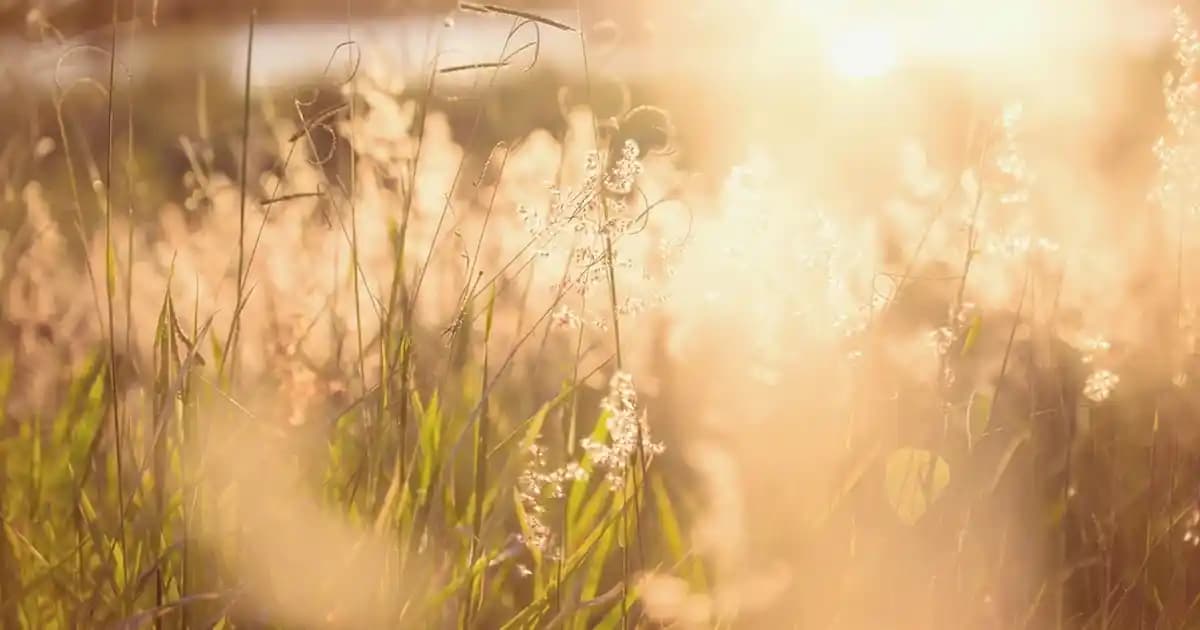 Yatak Odası Ölçülerine Uygun Nevresim Takımı Seçimi ve Dekorasyon İpuçları