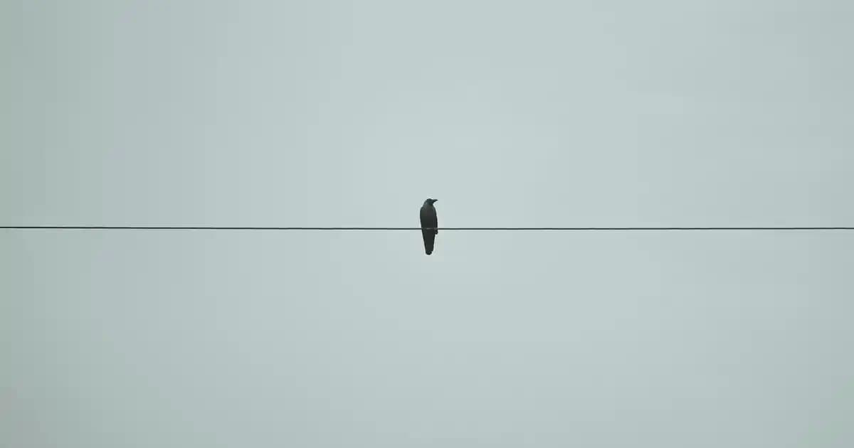 Yu<muş>ak dönüşlü robotik musluk başlıklarının endüstrideki önemi ve özellikleri