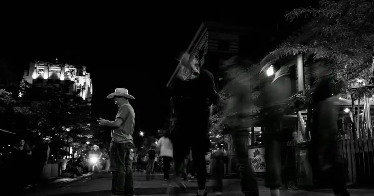 Yüksek Doğal Pamuk Halı Seçenekleri: Konfor ve Sağlık İçin Uygun Modeller ve Bakım İpuçları