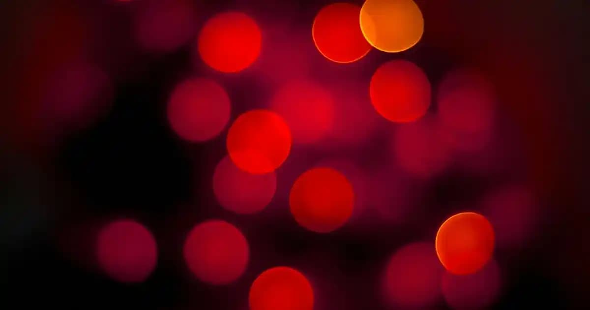 Yüksek Pampas Vazosu ile Doğal ve Şık İç Mekan Dekorasyonu Yaratma Rehberi