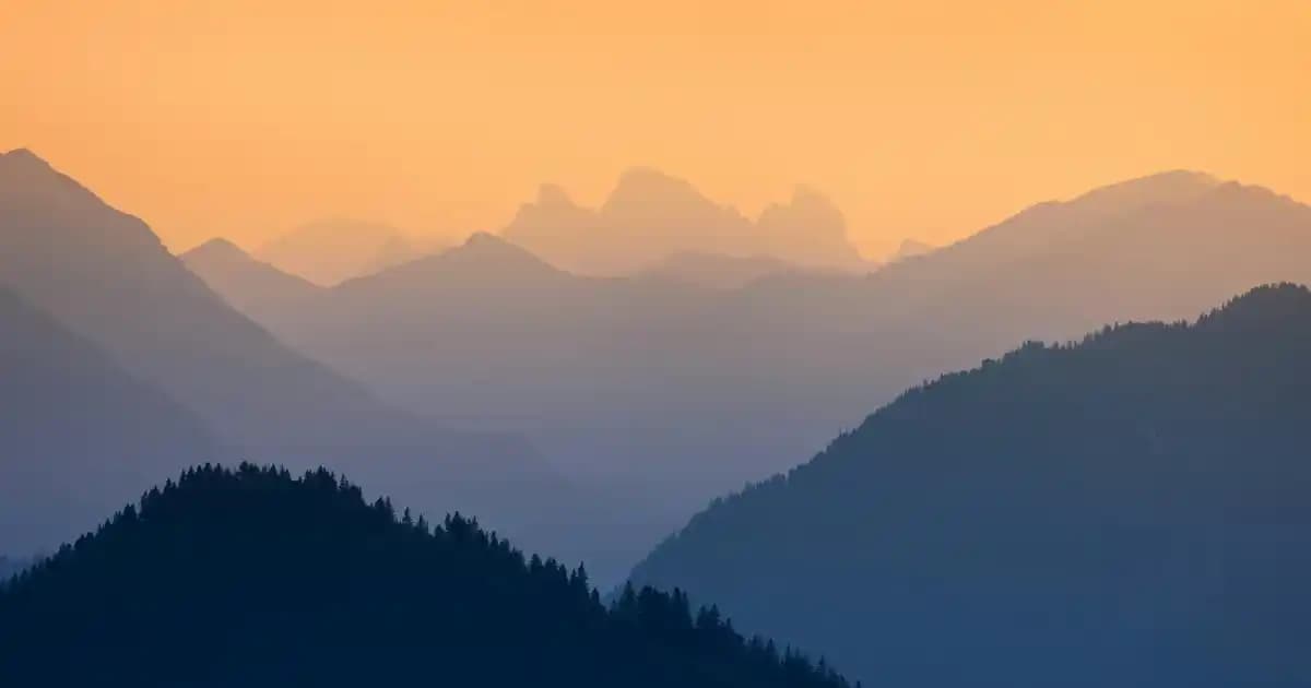 Zarif Uzun Pampas Çiçek Vazosu ile Modern ve Şık Dekorasyon Çözümleri