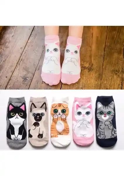 Sevimli Kedi Desenli Patik Çorap 5'li Renkli Tasarım Yüksek Pamuk Oranıyla Konfor Sağlar