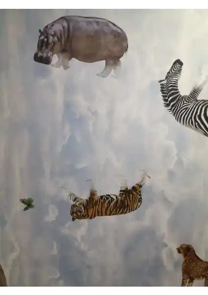 Akseren PVC Mineflo Zemin Kaplaması: Estetik ve Dayanıklılık Sunan Modern Çözüm