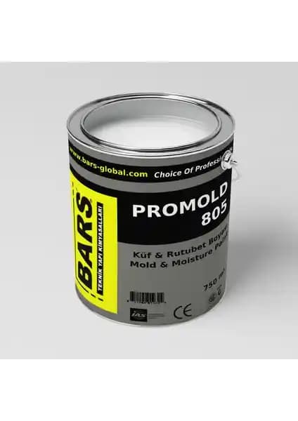 Bars Küf ve Rutubet Boyası: İç ve Dış Mekanlar İçin Güçlü Nem ve Rutubet Koruma Çözümü