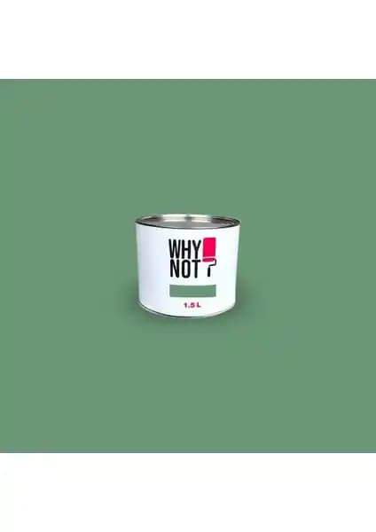 Whynot Duvar Boyası Green Energy İç Cepheler İçin Çevre Dostu ve Dayanıklı Boya