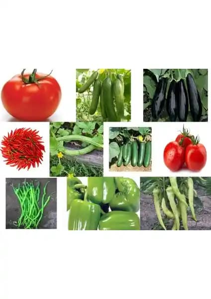 Karahasanoğlu Tarım 10 Çeşit Sebze Tohumu Seti ile Doğal ve Verimli Bahçe Deneyimi