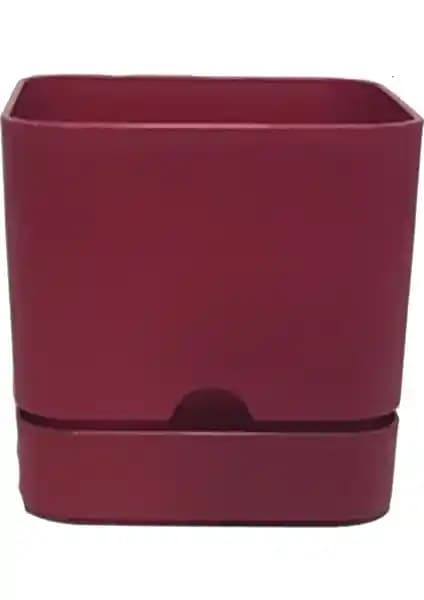 Poliwork Begonya Kare 13 cm Tabaklı Saksı 1,5 Litre Plastik Bitki Saksısı