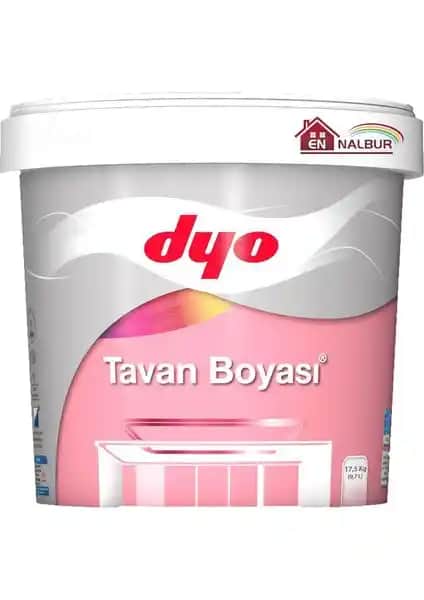 Dyo Akrilik Emülsiyon Tavan Boyası ve Dyo Dinamik 7565 Buz Gümüşü Karşılaştırması