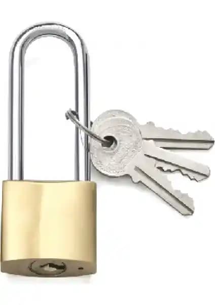 Muhtelif Ekonomik ve Tri-Moon Sarı Asma Kilitlerin Karşılaştırması ve Kullanım Önerileri