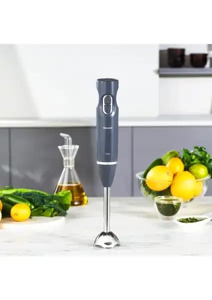 Homend Handmaid 1937H ve 1935H Çubuk Blender Karşılaştırması 2