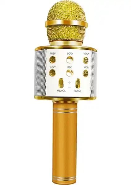 Tatu KTV ve Wster WS-858 Mikrofonları Karşılaştırması: Hangi Model Daha Uygun