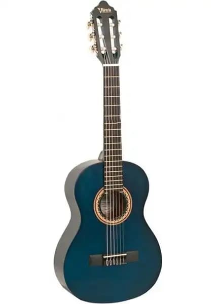 Valencia VC204TBU ve VC404 Gitar Modellerinin Detaylı Karşılaştırması 1