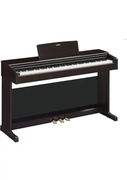 Yamaha YDP145R ve YDP165WH Dijital Piyanoları Karşılaştırması ve İnceleme 1